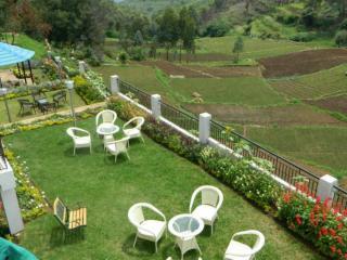 Mount N Mist Hotel Nainital Luaran gambar